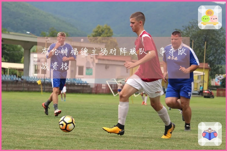 布伦特福德主场对阵狼队，争夺欧战资格