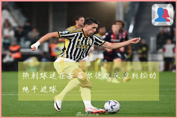 热刺球迷在安菲尔德欢庆沙利松的绝平进球