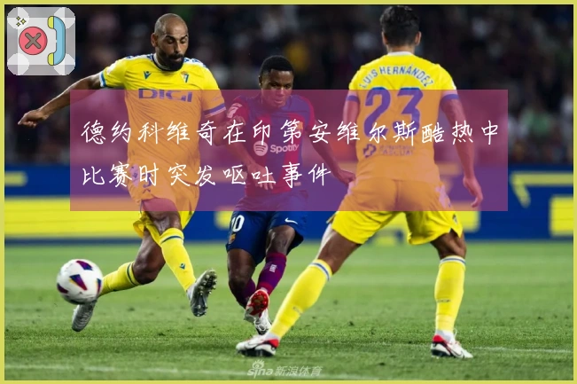 德约科维奇在印第安维尔斯酷热中比赛时突发呕吐事件