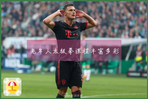 老年人太极拳课程丰富多彩