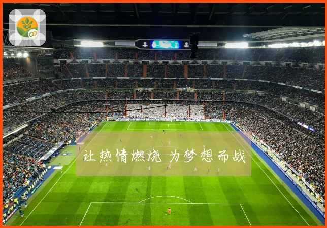 让热情燃烧 为梦想而战