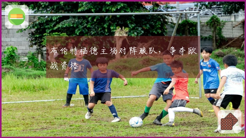 布伦特福德主场对阵狼队，争夺欧战资格