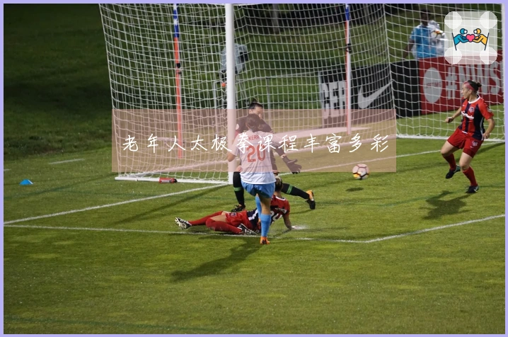 老年人太极拳课程丰富多彩